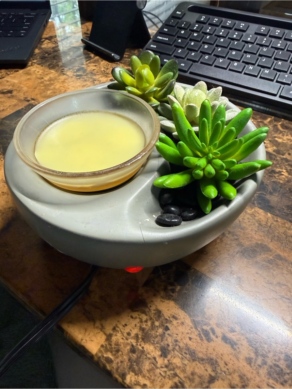 Scentsy Succulent Garden Wax Warmer – Gray With Faux Plants